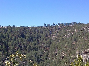 Canyon Scene